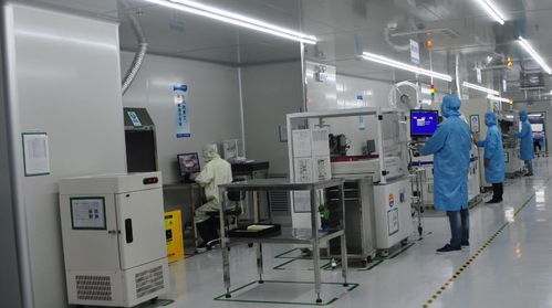 龍崗區委領導視察安培龍